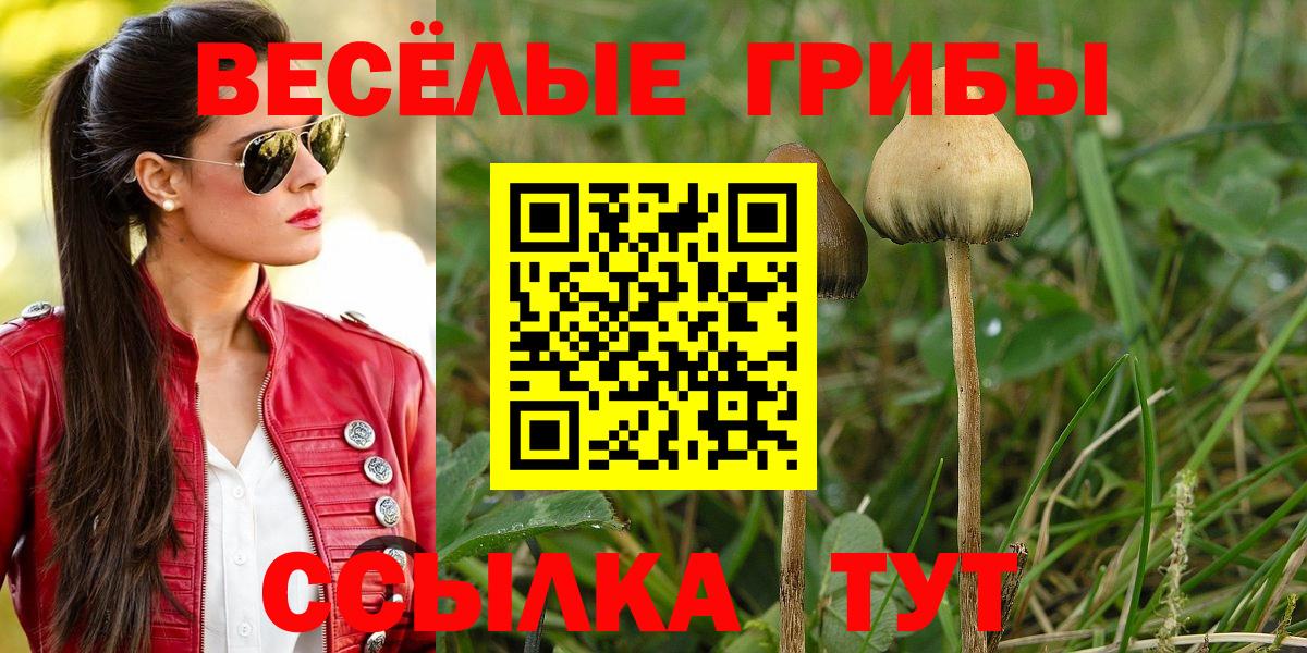 Псилоцибиновые грибы мухоморы Кизилюрт