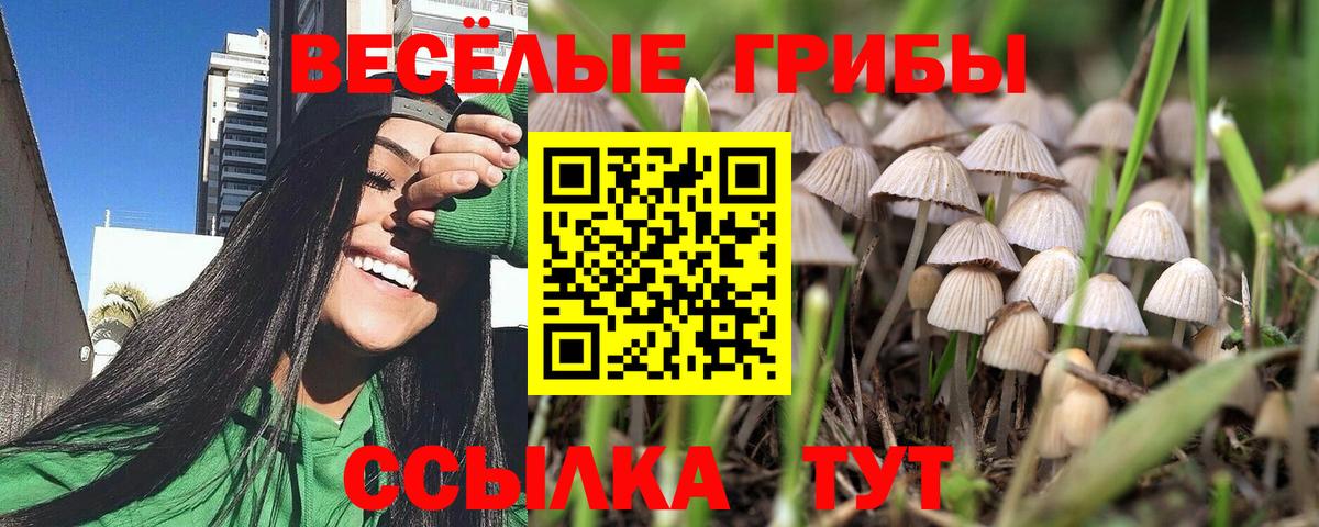Галлюциногенные грибы Cubensis  Псилоцибиновые грибы GOLDEN TEACHER  Кизилюрт  Вход с VPN 